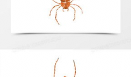 蜘蛛漫画图片,揭秘蜘蛛漫画中的奇幻世界